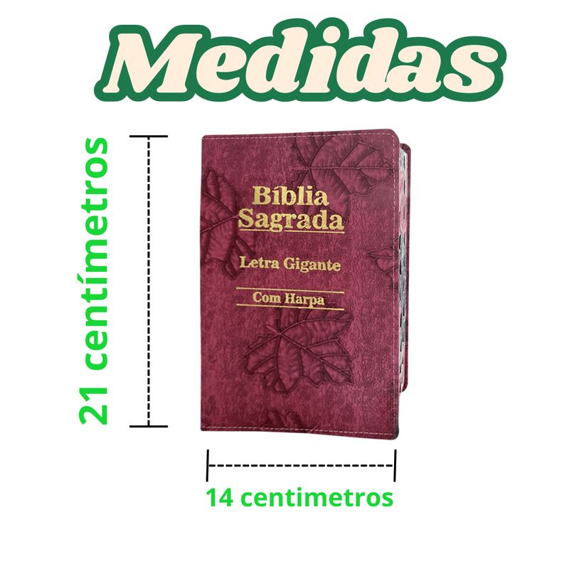 Bíblia Sagrada Letra Gigante, Capa Luxo, Folhas Rosa, com Harpa