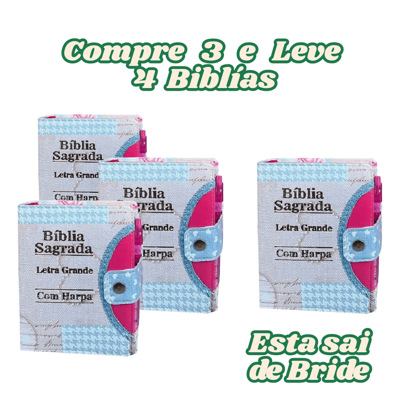 Bíblia Azul e Rosa com Harpa