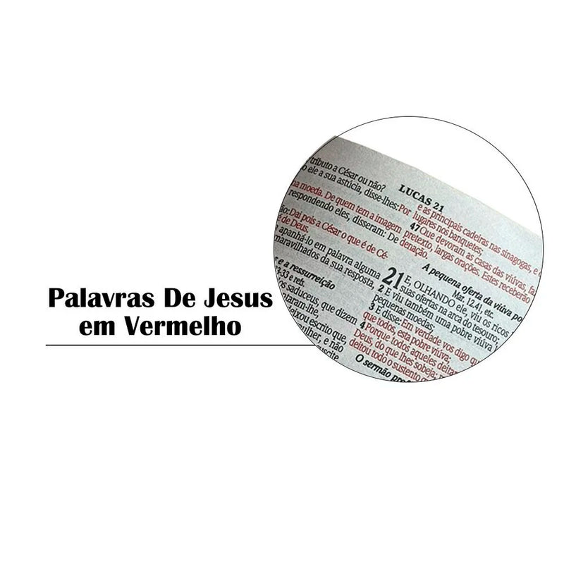 Bíblia Leão de Judá, Capa dura, harpa e Palavras de Jesus em Vermelho