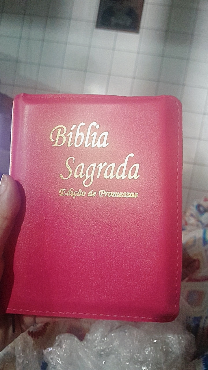 Bíblia com Letra Pequena e Zíper